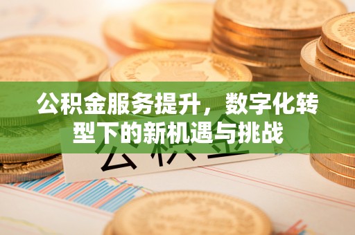 孙吴公积金服务提升，数字化转型下的新机遇与挑战