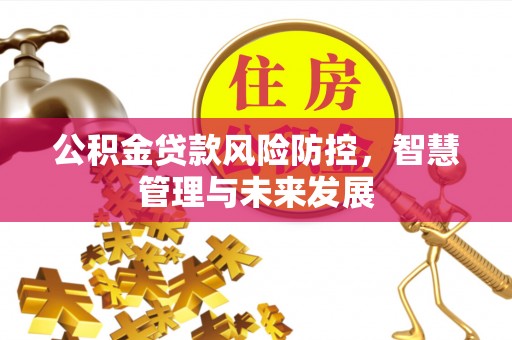 孙吴公积金贷款风险防控，智慧管理与未来发展