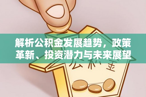 孙吴解析公积金发展趋势，政策革新、投资潜力与未来展望