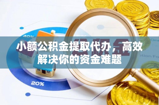 孙吴小额公积金提取代办，高效解决你的资金难题