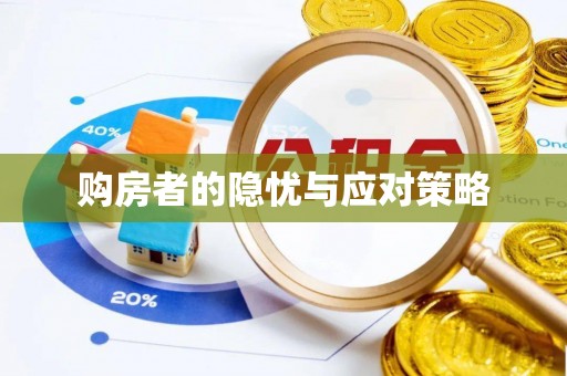 孙吴购房者的隐忧与应对策略