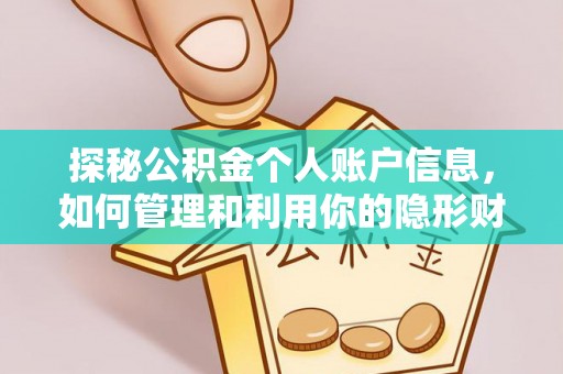 孙吴探秘公积金个人账户信息，如何管理和利用你的隐形财富