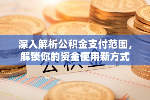 孙吴深入解析公积金支付范围，解锁你的资金使用新方式