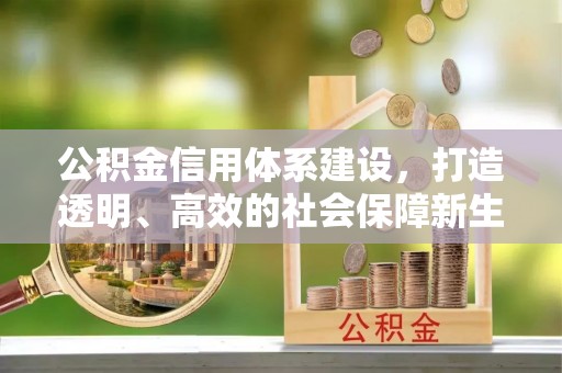 孙吴公积金信用体系建设，打造透明、高效的社会保障新生态