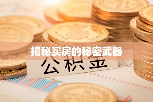 孙吴揭秘买房的秘密武器