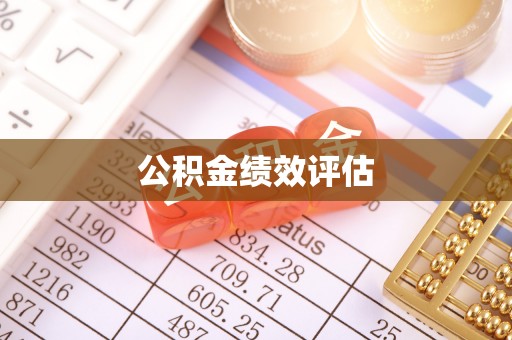 孙吴公积金绩效评估