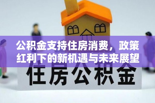 孙吴公积金支持住房消费，政策红利下的新机遇与未来展望