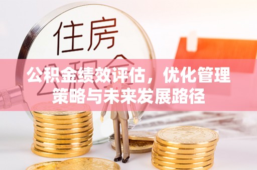 孙吴公积金绩效评估，优化管理策略与未来发展路径