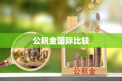 孙吴公积金国际比较