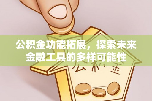 孙吴公积金功能拓展，探索未来金融工具的多样可能性