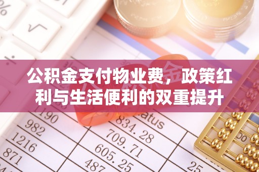 孙吴公积金支付物业费，政策红利与生活便利的双重提升