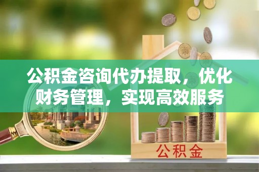 孙吴公积金咨询代办提取，优化财务管理，实现高效服务
