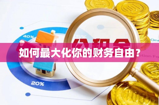 孙吴如何最大化你的财务自由？