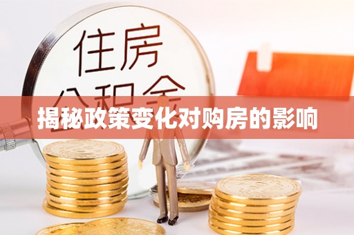 孙吴揭秘政策变化对购房的影响
