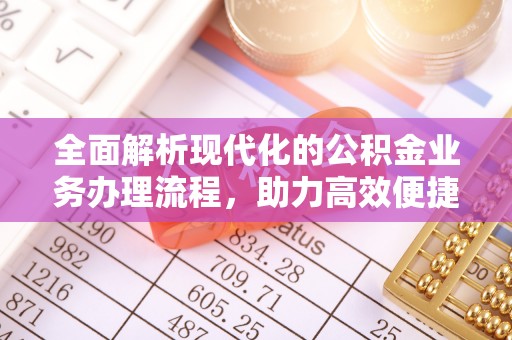 孙吴全面解析现代化的公积金业务办理流程，助力高效便捷生活